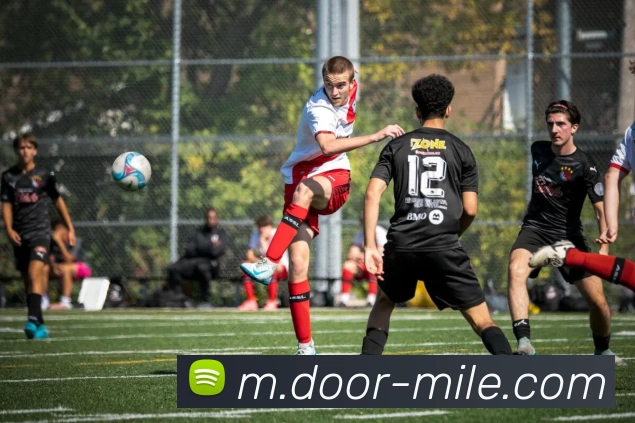 米乐体育服务体系