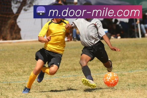 米乐体育APP 体育赛事宣传图